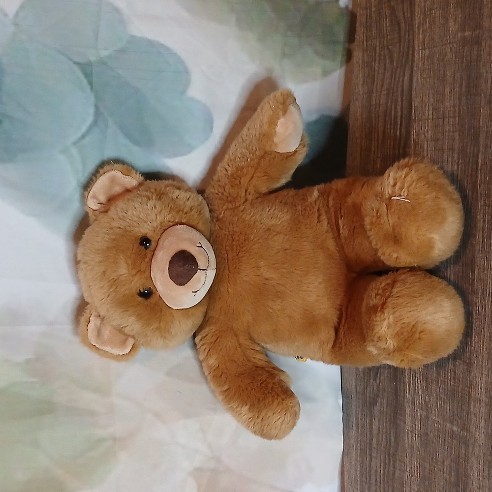 Buid a bear Bear Vintage